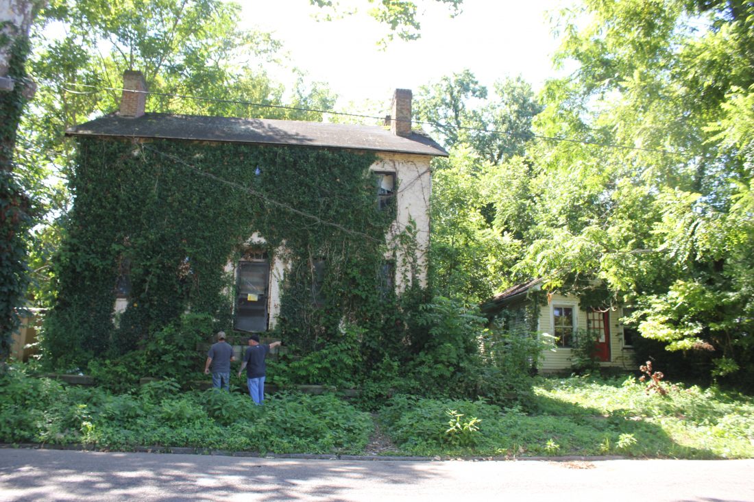 Gallery image